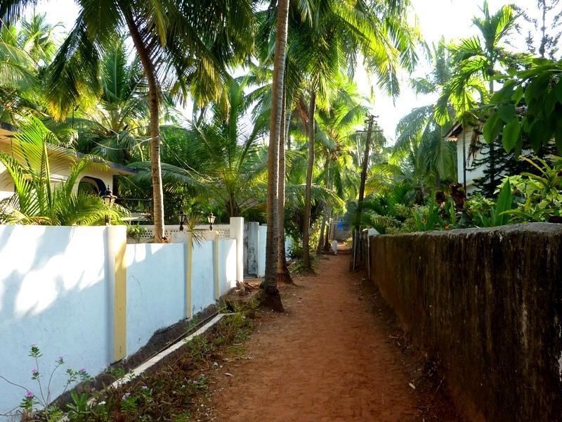 Guest house Casa Beach Front 3*